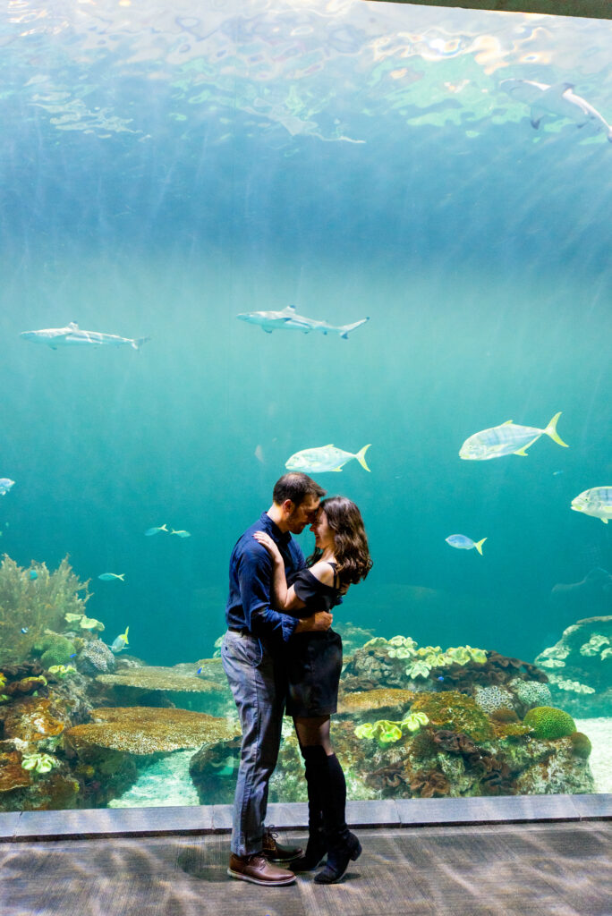 couple stands together in front of large tank full of fish and sharks at Shedd Aquarium