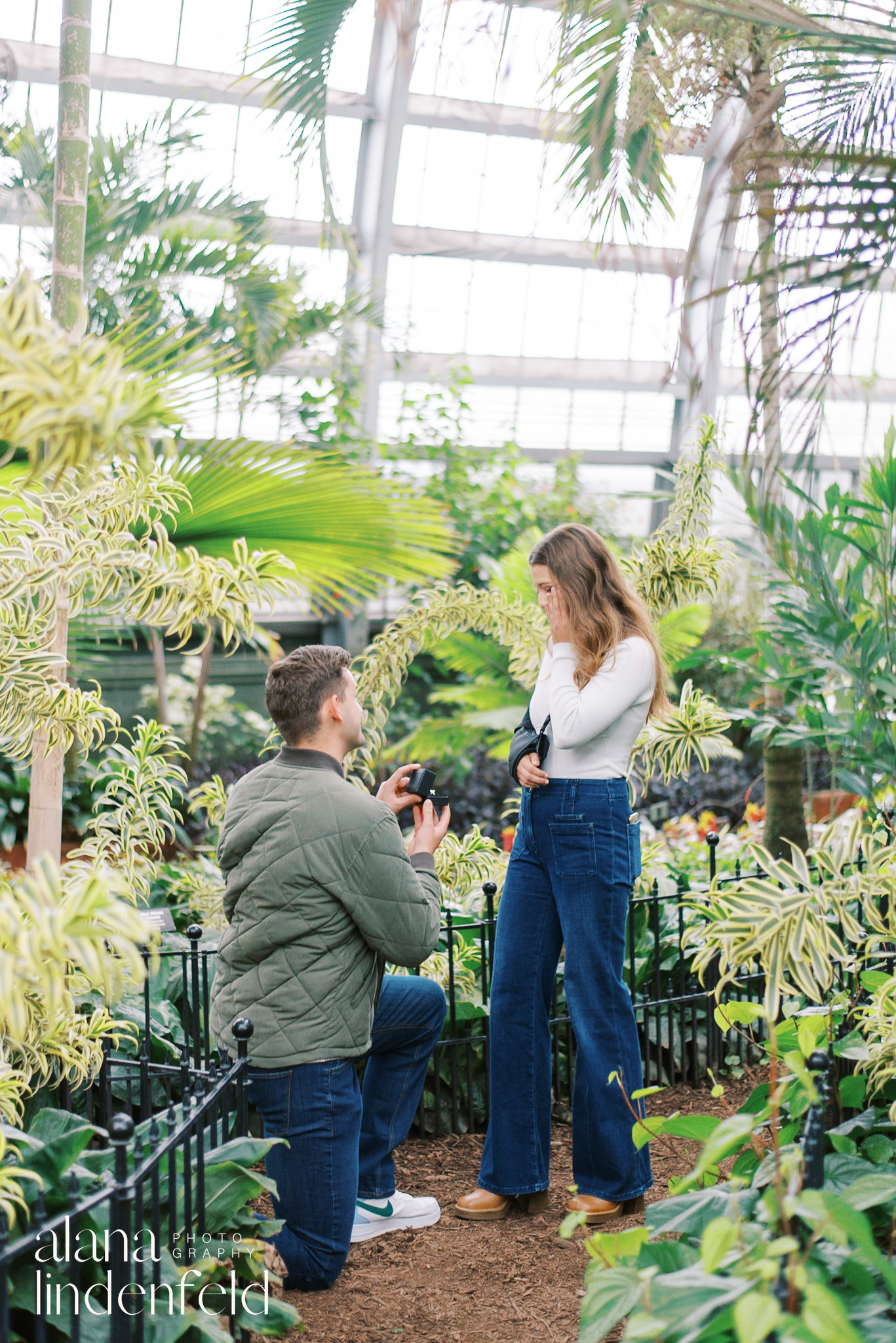 man proposing to woman at Garfield Park Conservatory
