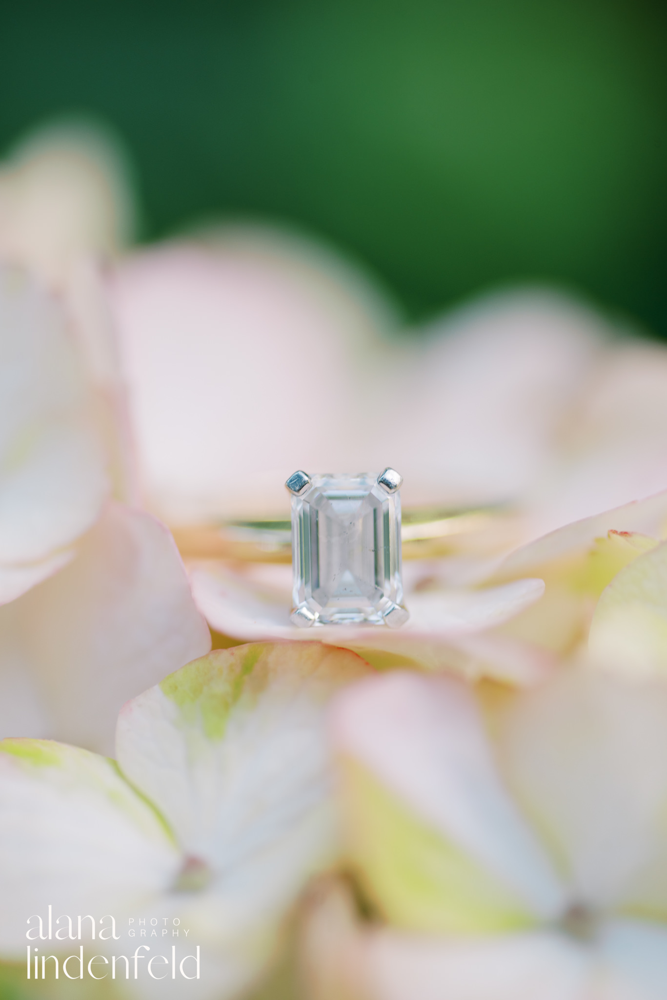 Ault Park summer engagement pictures