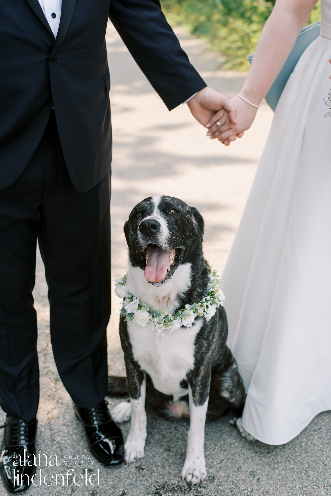 couple with their dog in front of south pond lincoln park on wedding day