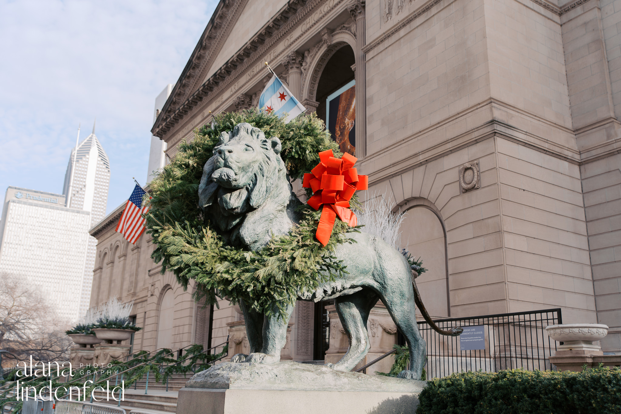 Art Institute of Chicago lions with winter wreaths on a sunny day