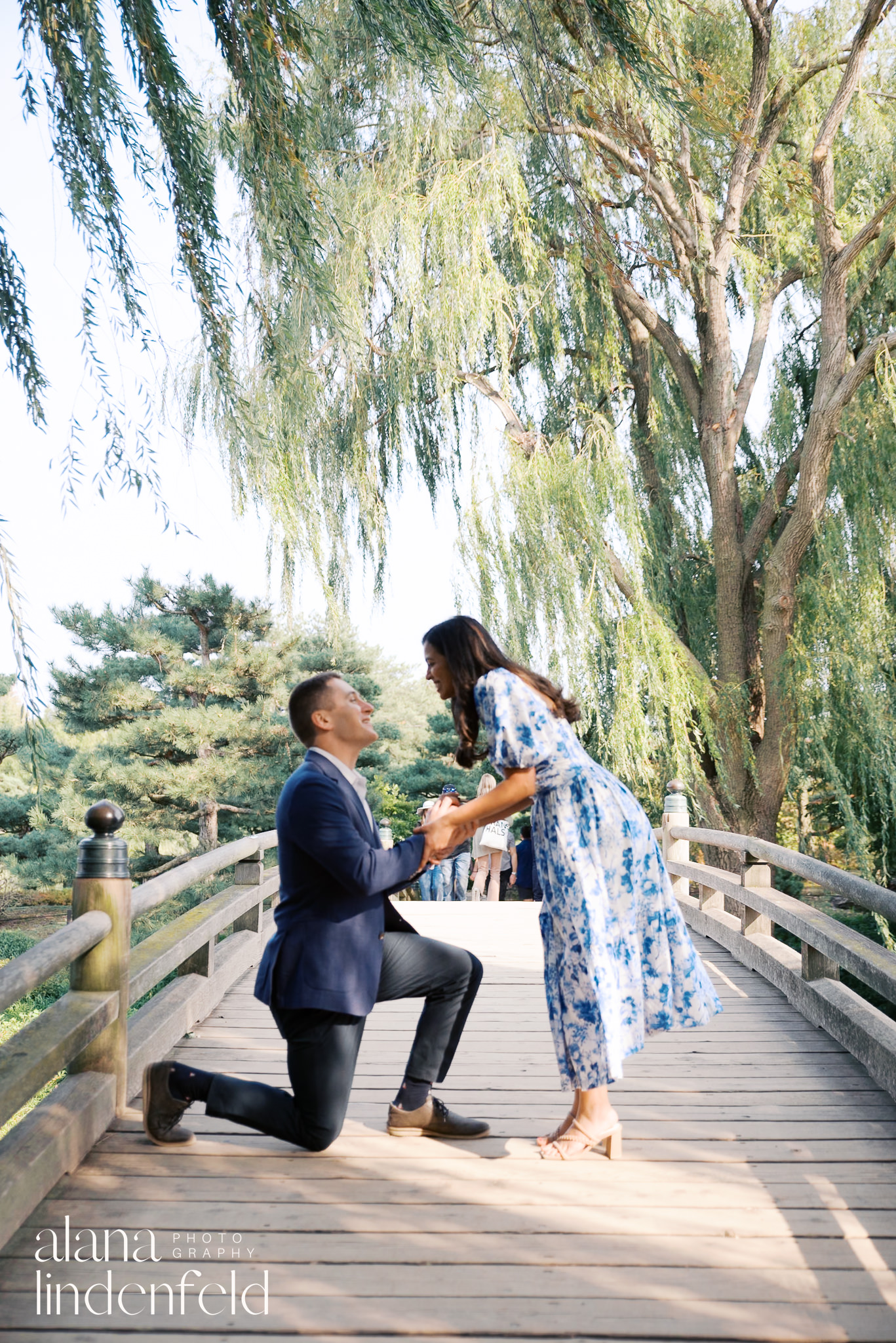 Proposal at Chicago Botanic Garden Japanese Bridge