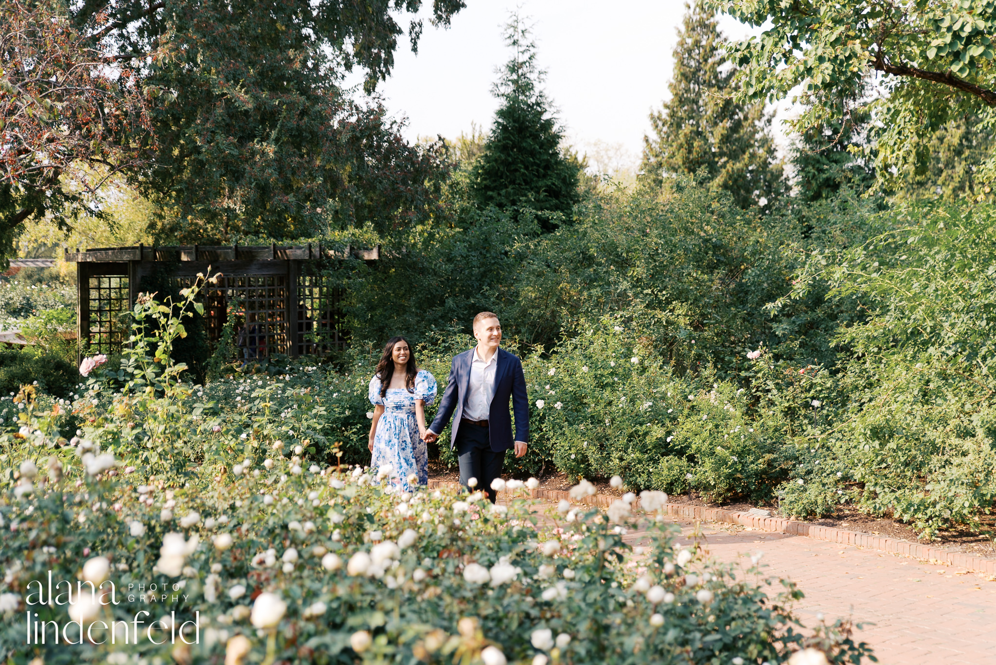 fall engagement pictures at Chicago Botanic Garden Rose garden