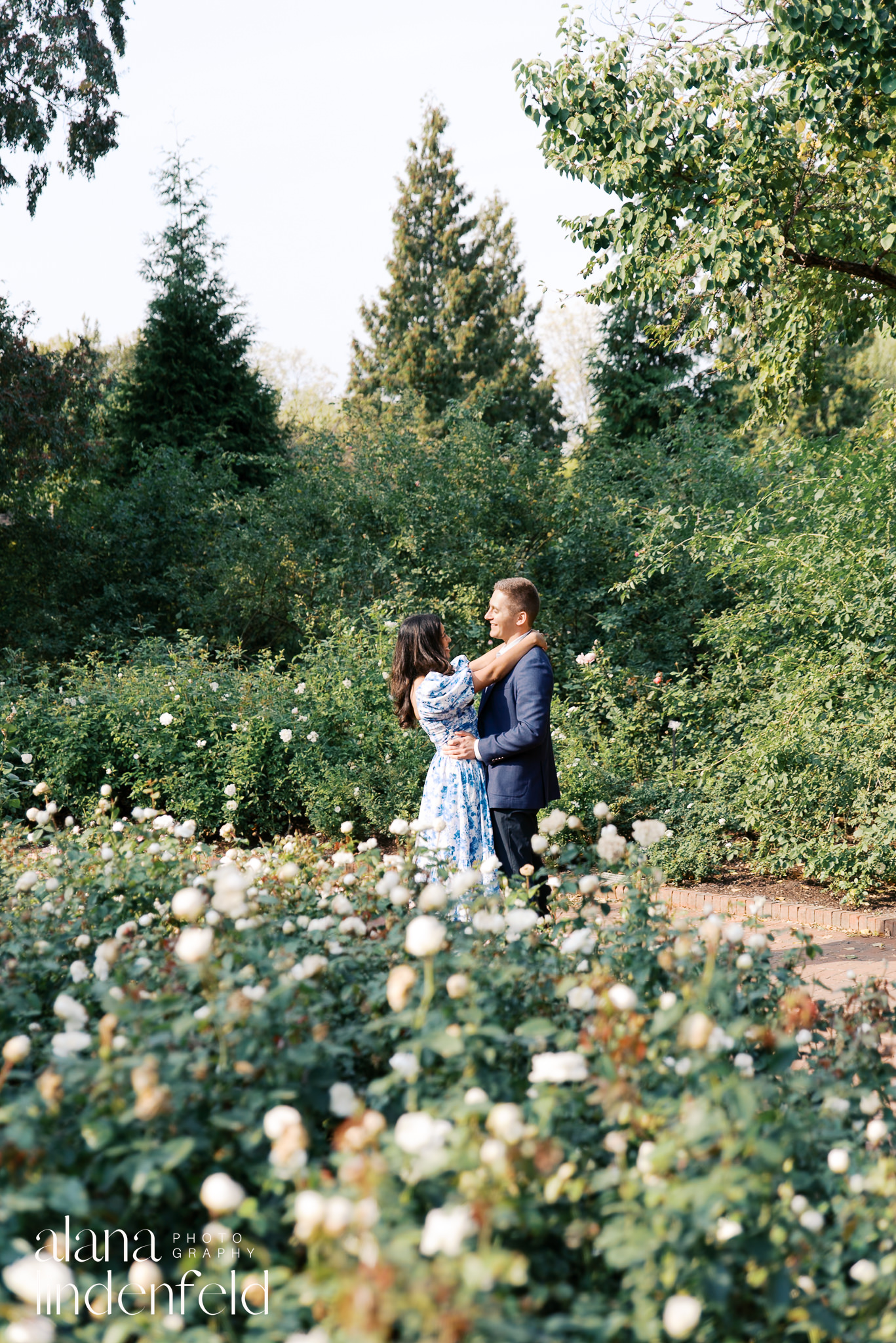 fall engagement pictures at Chicago Botanic Garden Rose garden