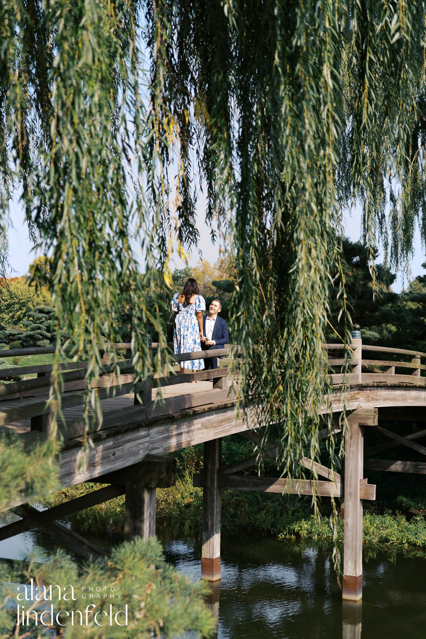 Proposal at Chicago Botanic Garden Japanese Bridge