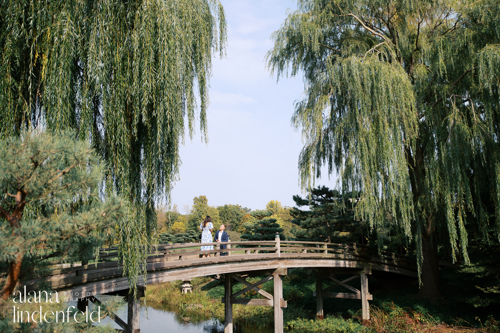 Proposal at Chicago Botanic Garden Japanese Bridge