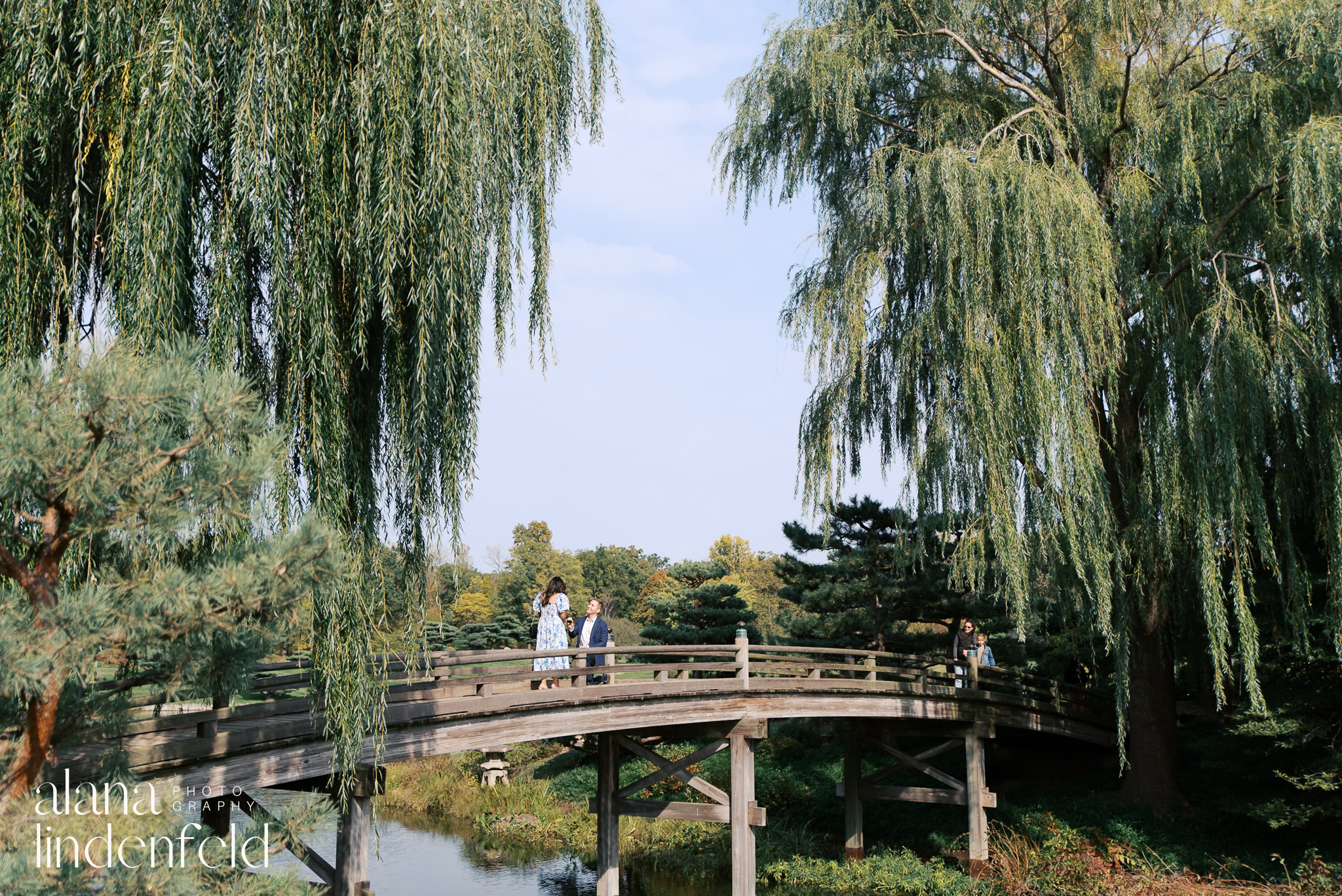 Proposal at Chicago Botanic Garden Japanese Bridge